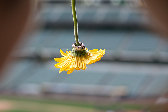 Chicago Wedding and Engagement Photographer