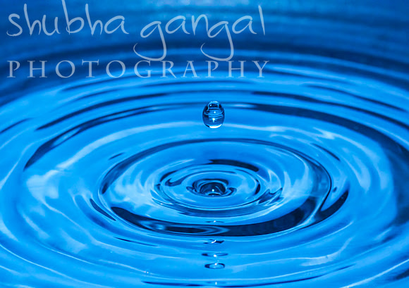 Chicago Art Photographer