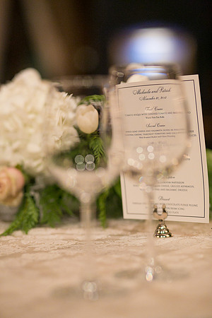 Chicago Wedding and Engagement Photographer