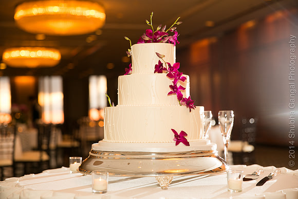 Chicago Wedding and Engagement Photographer