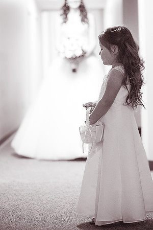 Chicago Wedding and Engagement Photographer