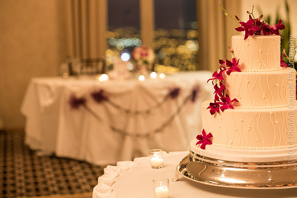 Chicago Wedding and Engagement Photographer