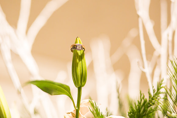 Chicago Wedding and Engagement Photographer