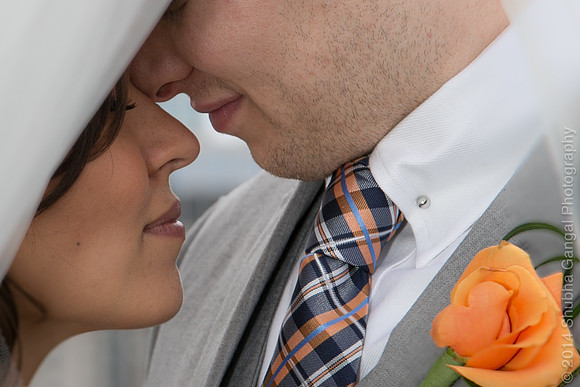 Chicago Wedding and Engagement Photographer