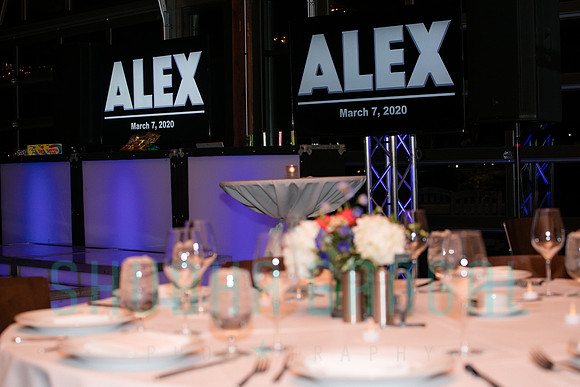 Alex Coleman Bar Mitzvah - Chicago Bar Mitzvah-0340