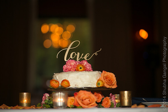Chicago Wedding and Engagement Photographer