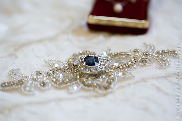 Chicago Wedding and Engagement Photographer