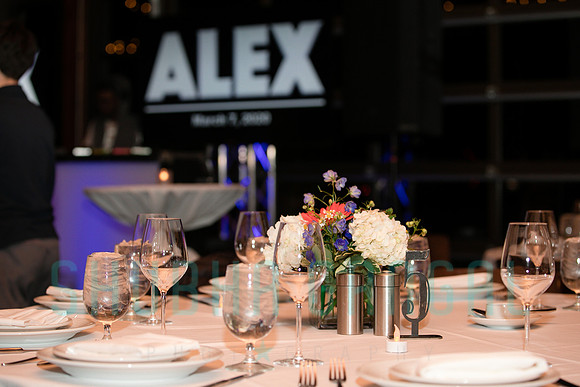Alex Coleman Bar Mitzvah - Chicago Bar Mitzvah-0425